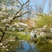 Japanse tuin Hasselt