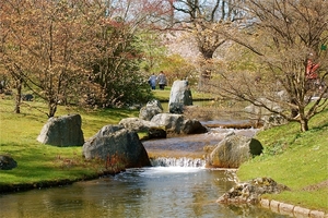 Japanse tuin Hasselt