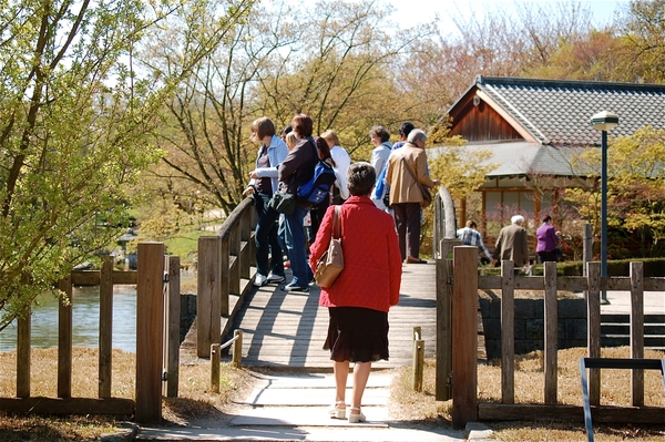 Japanse tuin Hasselt