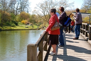 Japanse tuin Hasselt