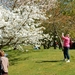 Japanse tuin Hasselt