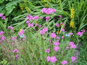juni-2010 004 (Medium) (2)