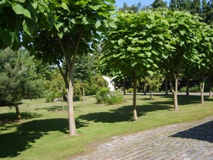 26-juni-2010 009 (Medium)