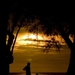 L_1sunsettacrw_3917_tr[1]