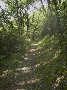 Frankrijk 2010 013