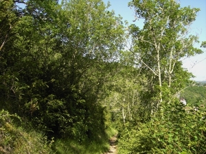 Frankrijk 2010 016