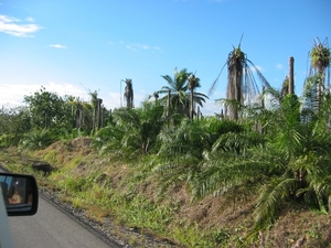 2003-12   0108 Op terugweg 23