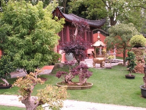 Japanse tuin