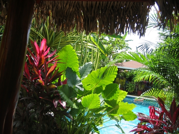 2005-12  0040 Zwemdok hotel Belveder