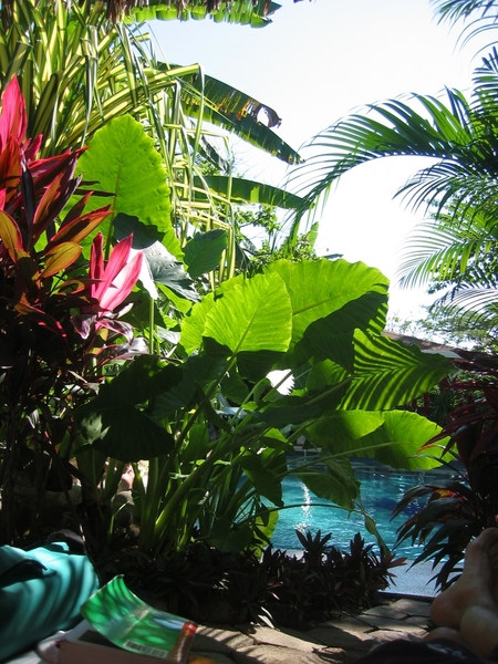 2005-12  0044 Zwemdok hotel Belveder