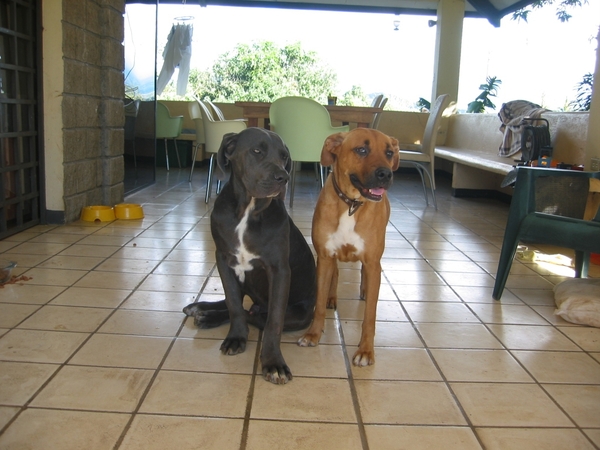 2005-12  0082 Boedha-Woeke