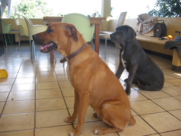 2005-12  0085 Boedha-Woeke