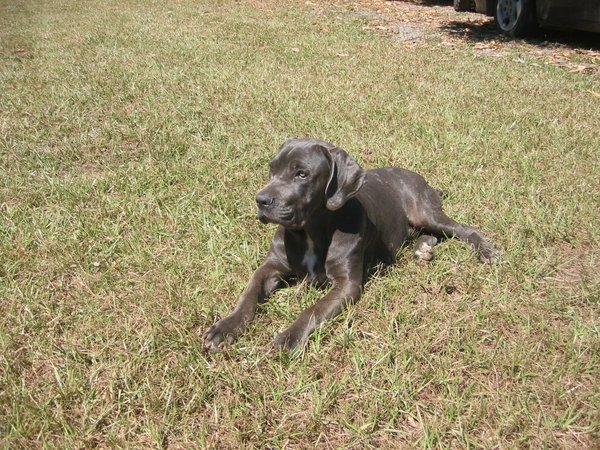 2005-12  0219 Boedha 31-12