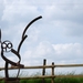 De Uil die niet op de pereboom zat