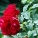 033 (2)