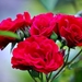 035