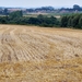 25 Juli Boureng bloemen en veldkapel en cavair 109