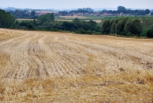 25 Juli Boureng bloemen en veldkapel en cavair 109