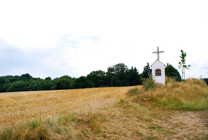 25 Juli Boureng bloemen en veldkapel en cavair 116