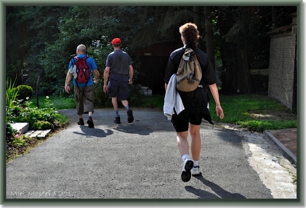 Waalse wandeltocht voor de deur 01 Augustus 2010 047