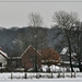 100-crop