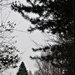 005 (2)