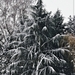 028 (2)