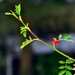 038 (2)-crop
