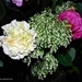 004-crop