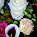 005-crop