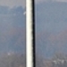 016 (2)-crop