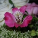 018
