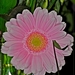 022