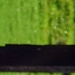 082 (2)-crop-crop