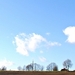 029 (2)-crop