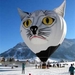 katzenballon_jpg