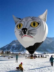 katzenballon_jpg