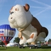 G-CDOG d