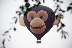 10 Internationale Ballonfista Barneveld 2011. Foto Ben Blss