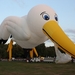 Twente-Ballooning-2009-Hulstbeek - 518