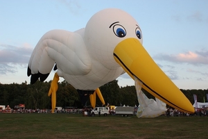 Twente-Ballooning-2009-Hulstbeek - 518