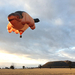 skywhale01