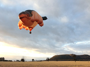 skywhale01