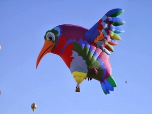 hummingbird Balloon