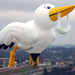 hot-air-balloon-stork2