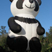panda01
