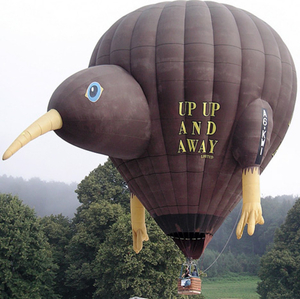 hot_air_balloon_35sfw