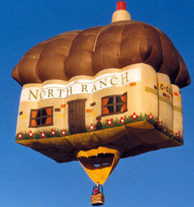 hot_air_balloon_16sfw