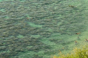 Hanauma - snorkelparadijs