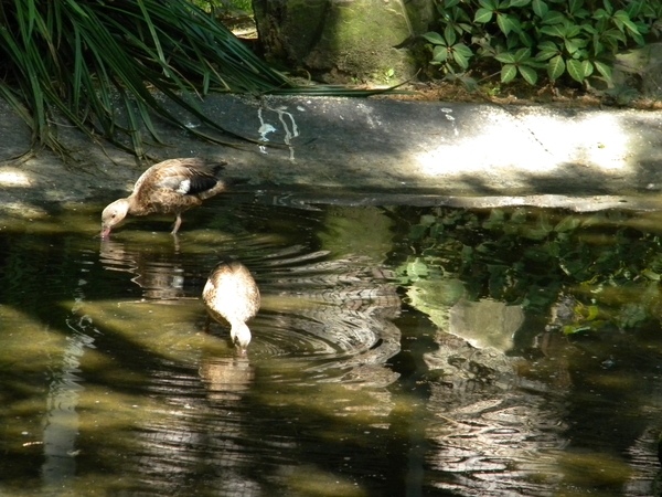 Drinken met zo'n weer, heerlijk.